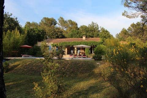 Garden, Swimming pool