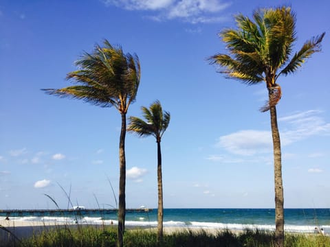 Spring, Off site, Beach