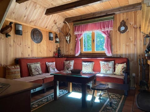 Living room, Decorative detail, Seating area