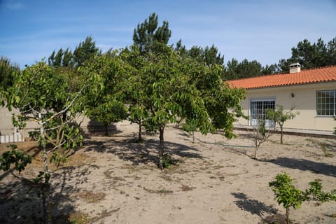 Nazaré Landscape House in Nazaré