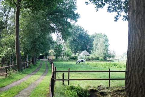 Gastenverblijf Het Muzehuis Haus in Overijssel (province)