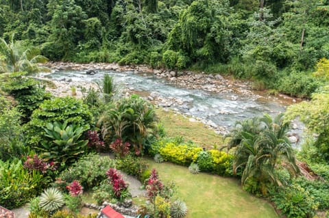 Tortuga Premium Riverfront Jungle Villa with Jacuzzi and Pool Villa in Bahía Ballena