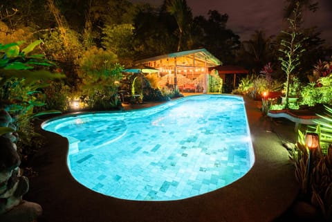 Night, Natural landscape, Garden, Garden view, Pool view, Swimming pool