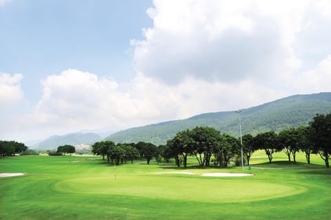 Day, Natural landscape, Golfcourse, Mountain view