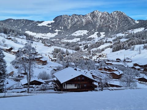 Winter, View (from property/room)