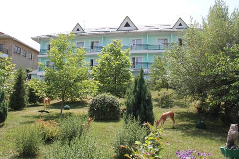 Green Hotel Hotel in Almaty