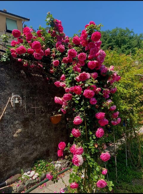 Ca' de natta House in Sestri Levante