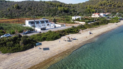 Neighbourhood, Natural landscape, Bird's eye view, Beach