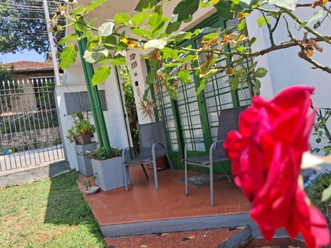 Patio, Spring, Garden, Garden view