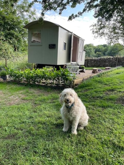 The Rookery Luxury tent in Pendle District