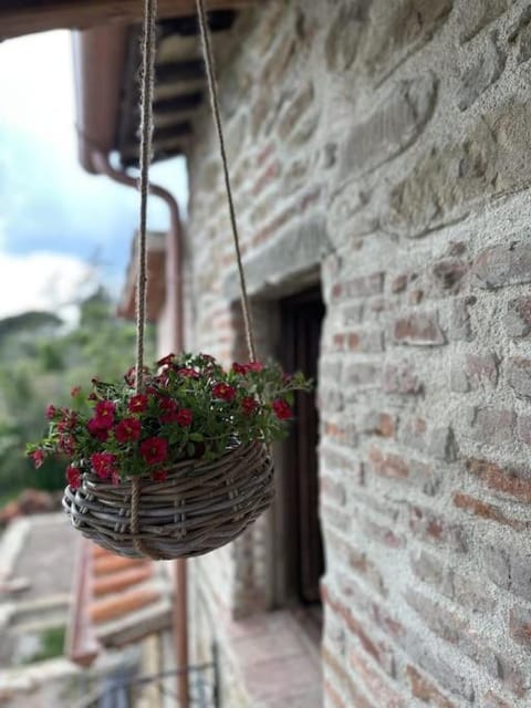 L'oasi delle volpi House in Umbria