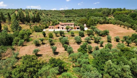 L'oasi delle volpi House in Umbria