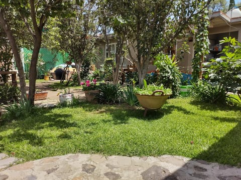 Temazcal Casa de Barro House in Hidalgo, Mexico