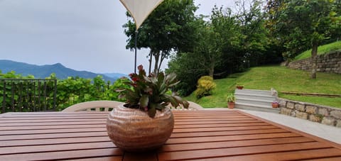 Mountain view