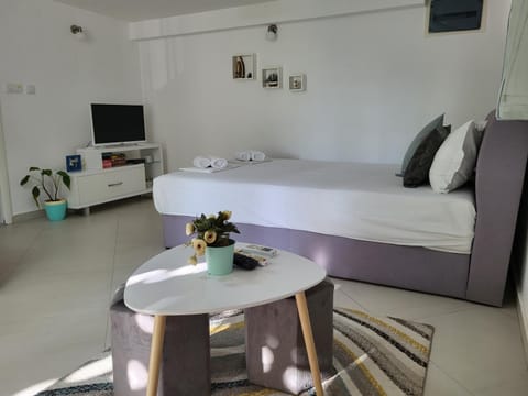 Apartments Teodo Condo in Kotor Municipality