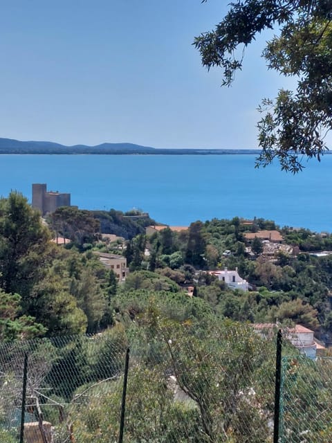 View (from property/room)