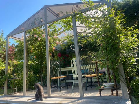 Garden, Seating area, Garden view