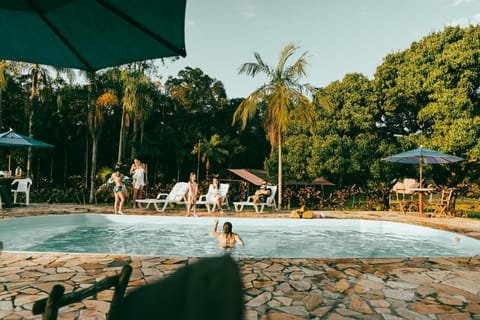 Garden, Pool view, Swimming pool