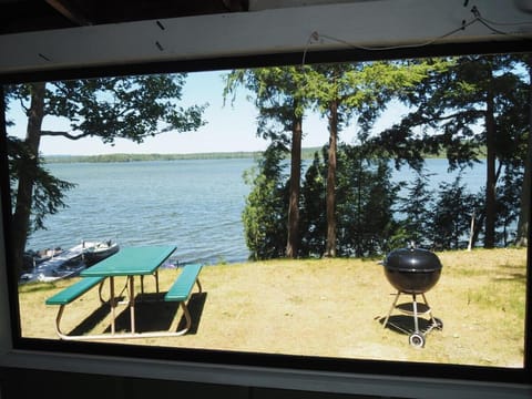 Twin Birch Resort - The Green Laker Cabin House in Lake Township