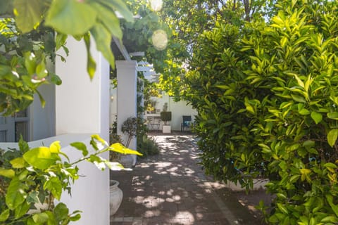 Ashbourne Boutique Guest House Bed and Breakfast in Franschhoek