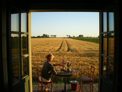 Summer, Balcony/Terrace, On site