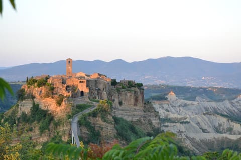 Natural landscape