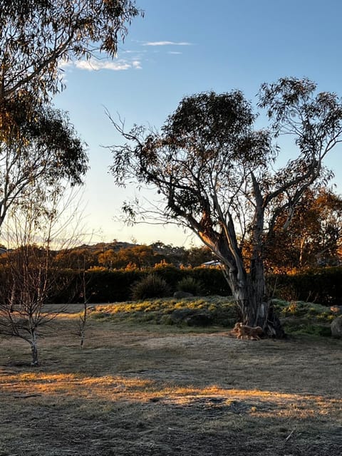 Winterwood Lodge - 6mins Jindabyne Pets Allow Floor Heating Farm Stay House in Jindabyne