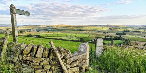 Nearby landmark, Natural landscape