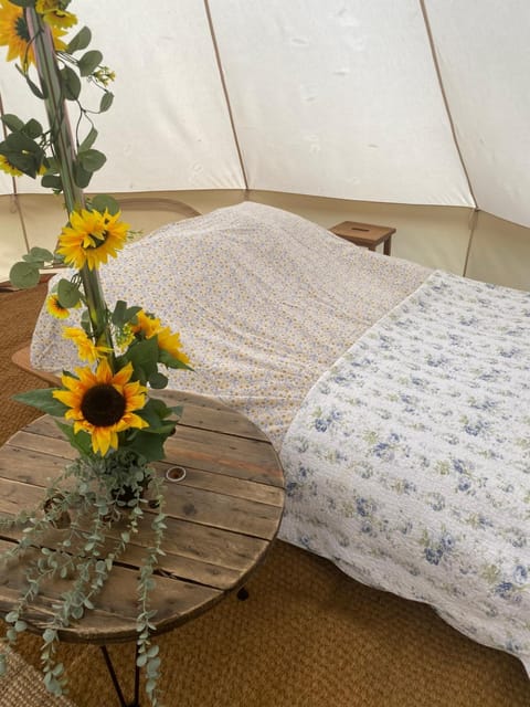 Bluebell bell tent The Roaches Luxury tent in Staffordshire Moorlands District