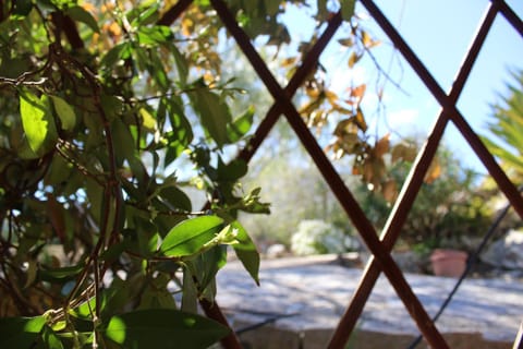 Natural landscape, Garden view