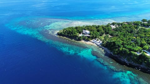 Bird's eye view, Snorkeling