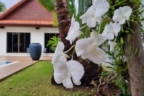 Baan Paa Phuket - 6 Bedrooms Villa Villa in Rawai
