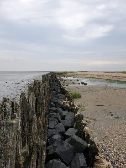 Natural landscape, Sea view