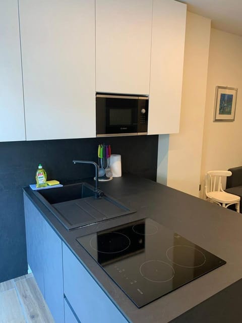 Kitchen or kitchenette, minibar, pet friendly, stove, kitchen