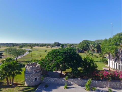 Bird's eye view, Garden view