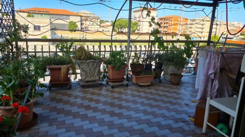 View (from property/room), Balcony/Terrace, Balcony/Terrace