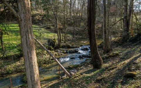 Charlies Creek Retreat Villa in Sevierville