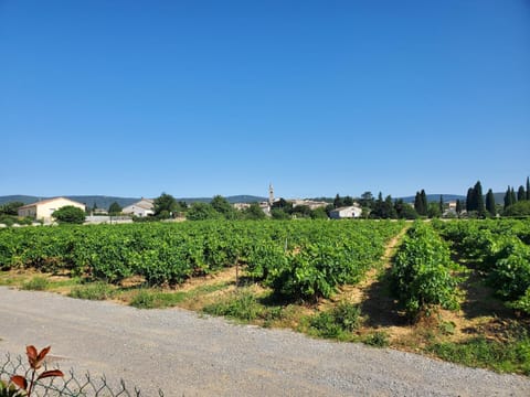 Spring, City view