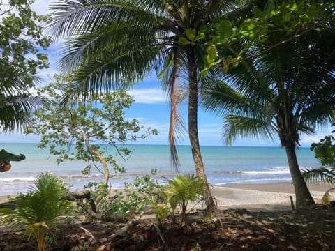 Natural landscape, Sea view