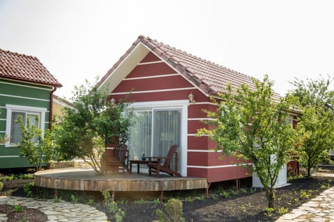 Patio, Garden, Garden view