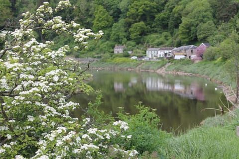 Neighbourhood, Natural landscape, Fishing, Canoeing, Hiking