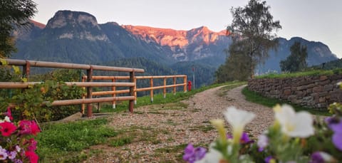 Garden, View (from property/room), Mountain view