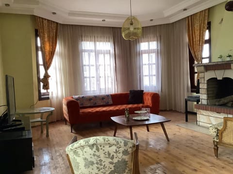 Cozy and Spacious Villa Villa in Ankara