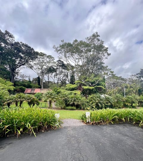 Day, Natural landscape, Garden, Garden view, Inner courtyard view