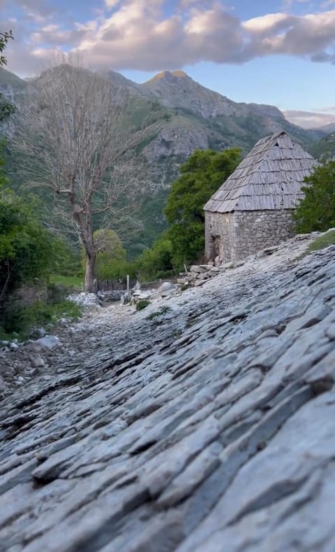 Turi-Selcë Bed and Breakfast in Podgorica Municipality, Montenegro