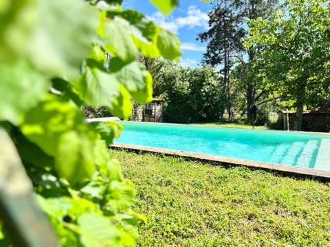 Garden, Swimming pool