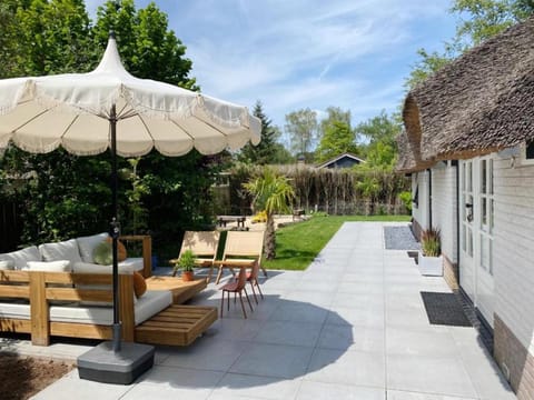 Garden, Seating area, Garden view