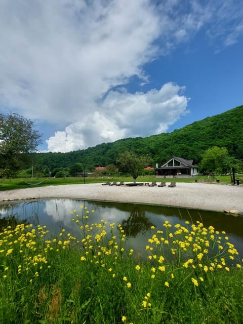 Natural landscape, Beach, Lake view