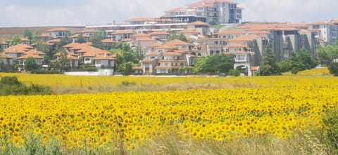 2 Bedrooms, 2 Bathrooms with Seaview, 2 Balconis, 2 Terraces Apartment in Burgas Province