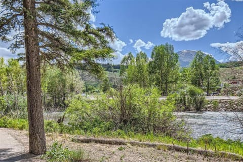 Silverthorne 4 BD Brand New Home House in Silverthorne